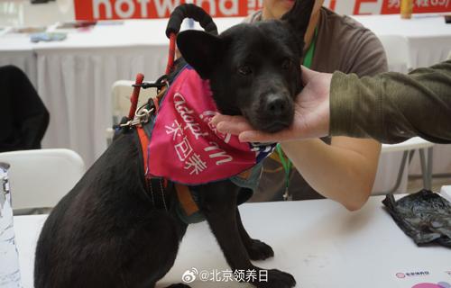 这就是他们的故事一个关于爱与坚持的故事刘炫廷新说唱中潜力股新手在这个快节奏的世界里他们用自己的方式诠